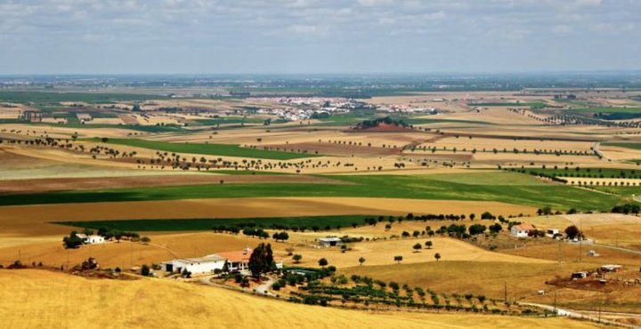Programa de apoio ao emparcelamento de terrenos foi alargado a todo o país